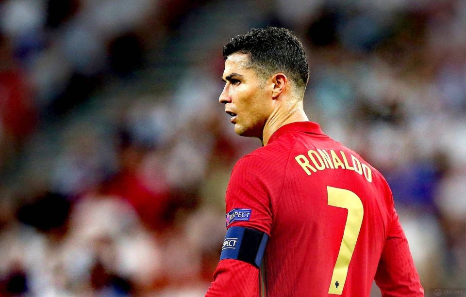 南虎的轮换 南虎的轮换